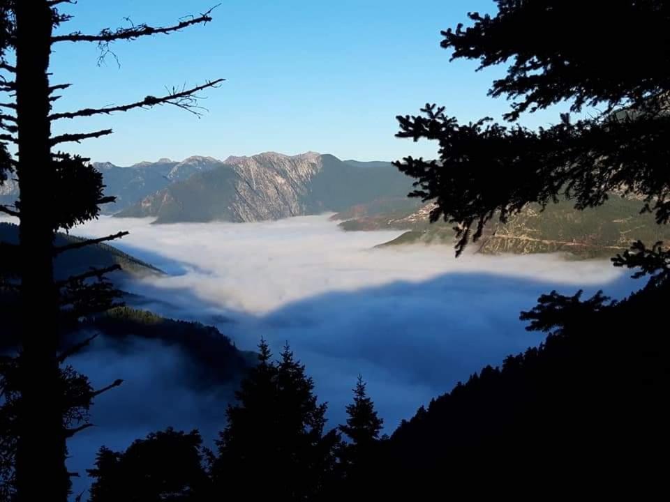 Omalia Village Ано-Хора Экстерьер фото